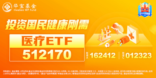 港股沖高，港股互聯網ETF（513770）大漲近2%！信創產業鏈崛起，多股漲停！中證醫療逆市五連陽  第12張